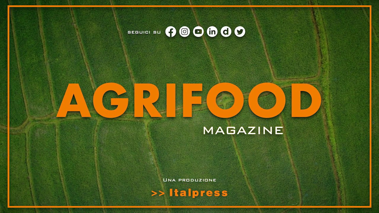 Agrifood Magazine - 25/1/2023