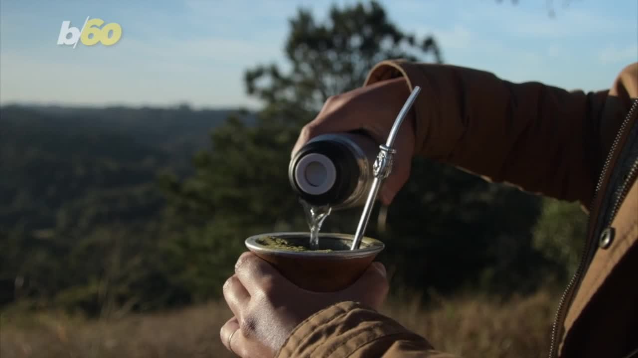 The Yerba Mate Americans are Drinking May Be Different Than the Original