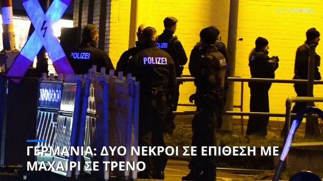 Γερμανία: Δύο νεκροί σε επίθεση με μαχαίρι σε τρένο στο Σλέσβιγκ-Χολστάιν - Συνελήφθη ο δράστης