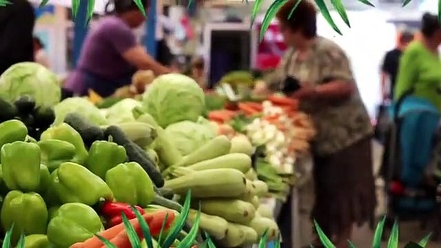 Saadet Partisi'nden Survivor göndermeli video: Konseyde kimin adının çıkacağı, halk oylamasıyla kimin gideceği artık belli
