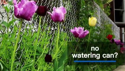 Spring Gardening Is Right Around the Corner