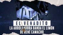 La Arrolladora Banda El Limón De René Camacho - El Venadito