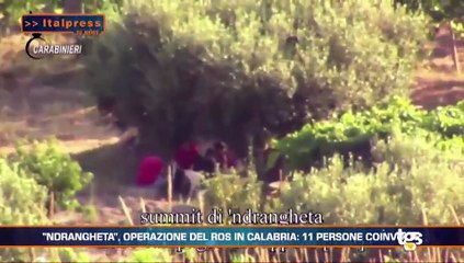 Il Tg News edizione del 25 gennaio