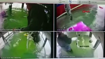 Malatya'da otobüsün baraja devrildiği anlar araç kamerasında