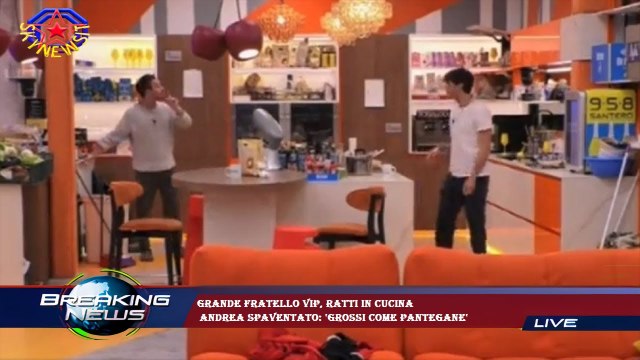 Grande Fratello Vip, ratti in cucina Andrea spaventato: 'Grossi come pantegane'