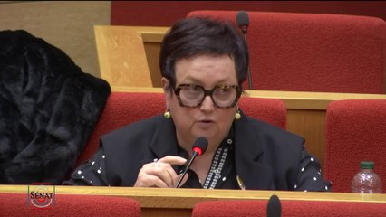 "Pourquoi n’avez-vous pas fait un véritable projet de loi sur les retraites ?"