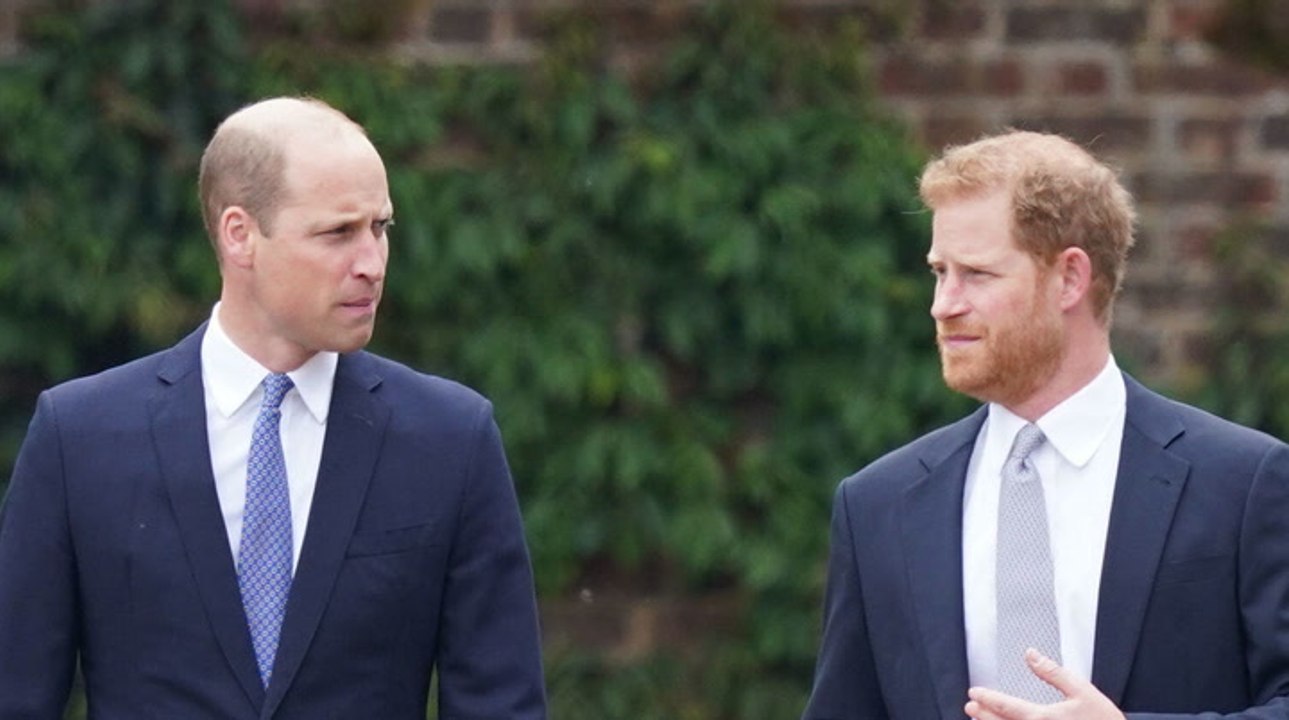 Prinz harry lässt bombe platzen: diese geschichte über ihn und william war gelogen