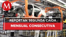 Actividad económica bajó 0.5% en noviembre, la mayor caída en más de un año