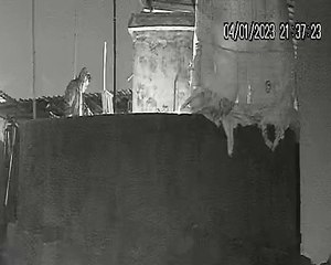 L33-Latrine Making Phase-Kolkata||Calcutta