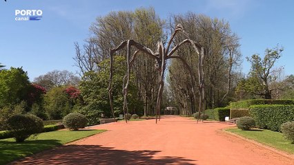 Serralves em Festa está de regresso após 3 anos de interregno