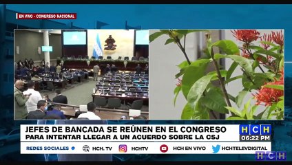 Diputados propondrán que se realice votación pública en elección de nueva CSJ