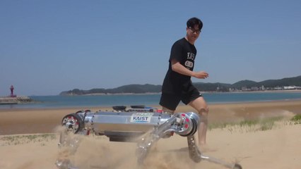 푹신한 모래사장 위도 걷고 뛰는 사족보행 로봇 / YTN