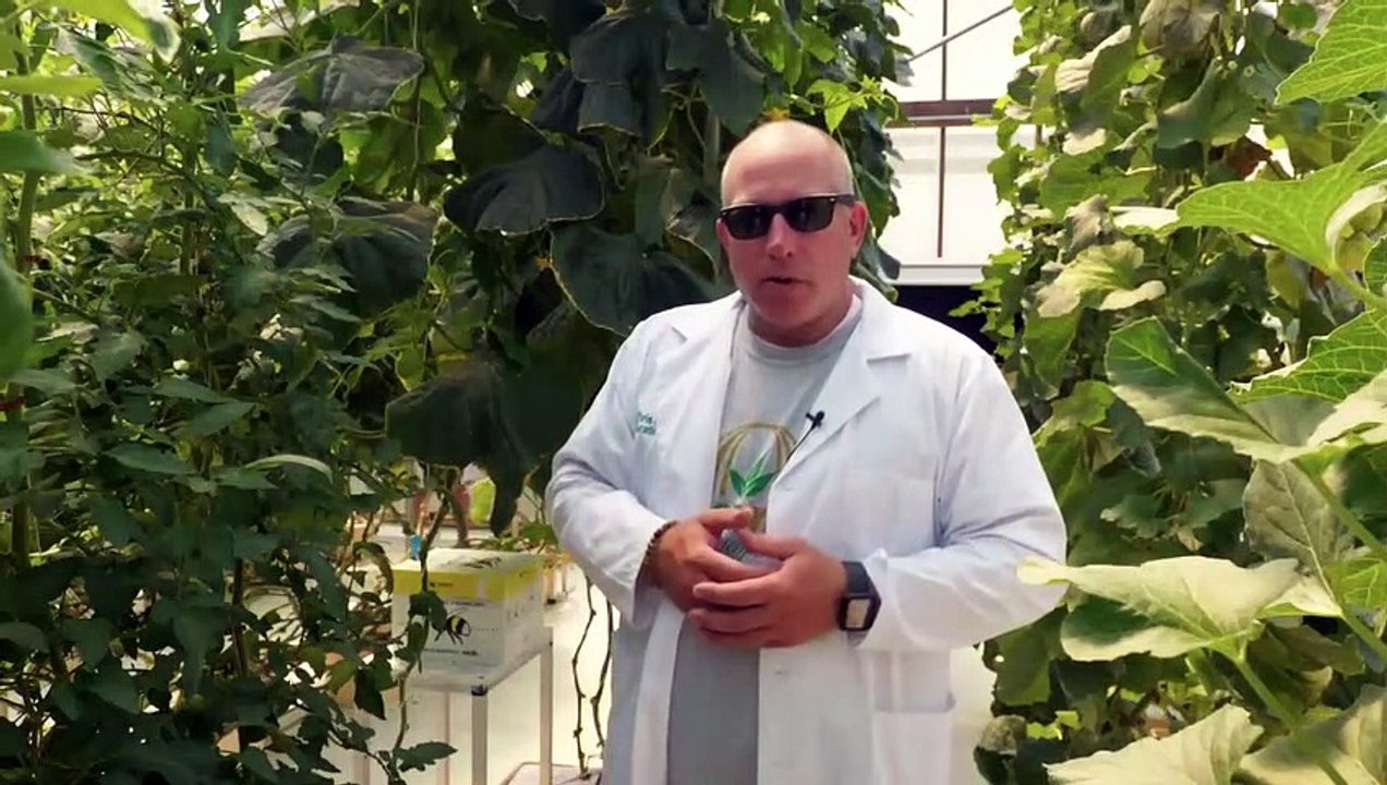 What we grow with hydroponics - CropKing Inc.