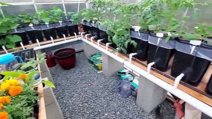 Overview of Harbor Freight Greenhouse & Hydroponics