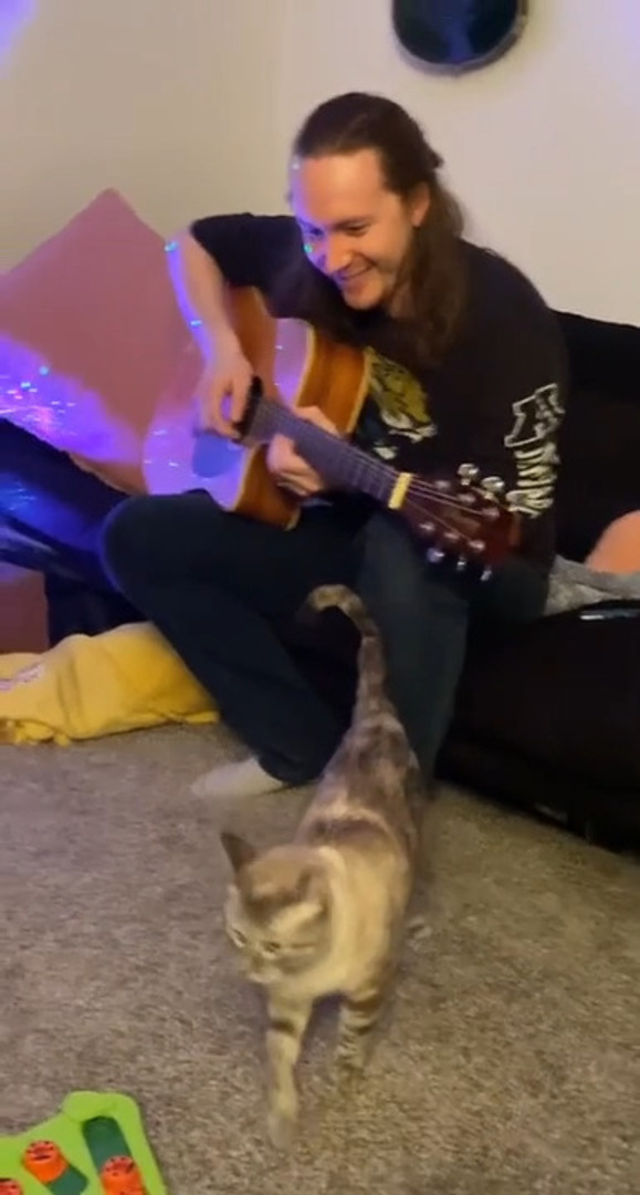 Owner Strikes Guitar Strings In Sync With Cat’s Meows