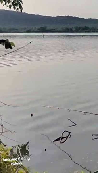 Amazing fishing _short videos _ Fariyaz shaik fishing