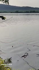 Amazing fishing _short videos _ Fariyaz shaik fishing