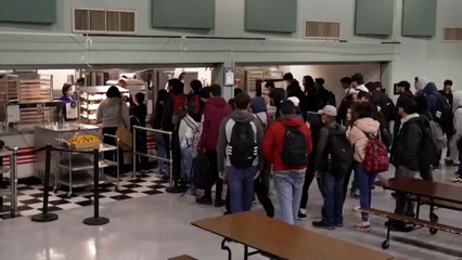 من المزرعة إلى المدرسة.. تجربة لتوفير وجبات صحية لطلاب مدرسة أميركية