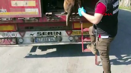 Mersin'de 24 kilo esrar ele geçirildi: 3 gözaltı