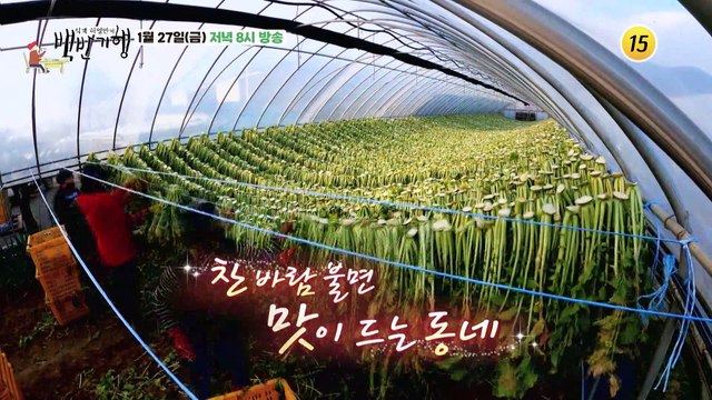 맛있구양~ 양구 백두대간 밥상_허영만의 백반기행 186회 예고 TV CHOSUN 230127 방송