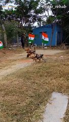 The Cutest Republic Day Video Surfaced On The Internet - 74th Republic Day