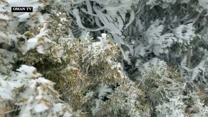 الثلوج تكسو قمة جبل شمس في سلطنة عُمان