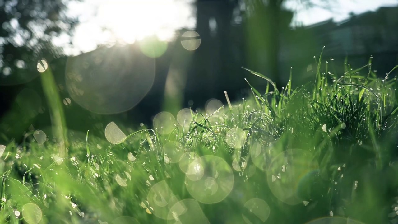 Relaxing music  fresh music needed for fresh mind#dailymotion#mudic#relaxingmusic