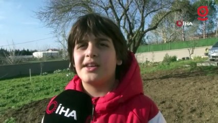 Bu horoz çocuklarla top oynuyor