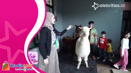 Seru, Irfan Hakim Ajak Anak-Anak Shireen Sungkar Bermain di Aviary