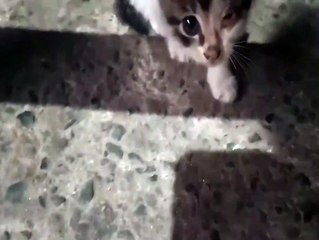 ONE EYE CLOSED | SIMPLY MAMU