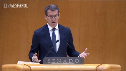 Feijóo, a Sánchez: "Usted quiere batir récords de recaudación, yo quiero bajar el IVA de la carne, el pescado y las conservas"