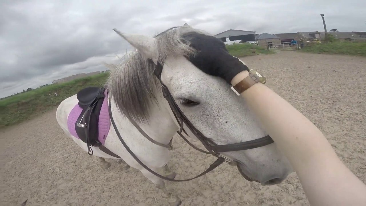 HORSE RIDDING  IN SCOTLAND_ _ GoPro HELMET  CAMERA HD