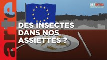 L’Union Européenne veut mettre des insectes dans nos assiettes ? | 31/01/2023 | Désintox | ARTE