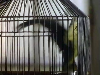 Boxing Helena | movie | 1993 | Official Trailer