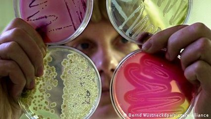 Are microbes the key to global food security?