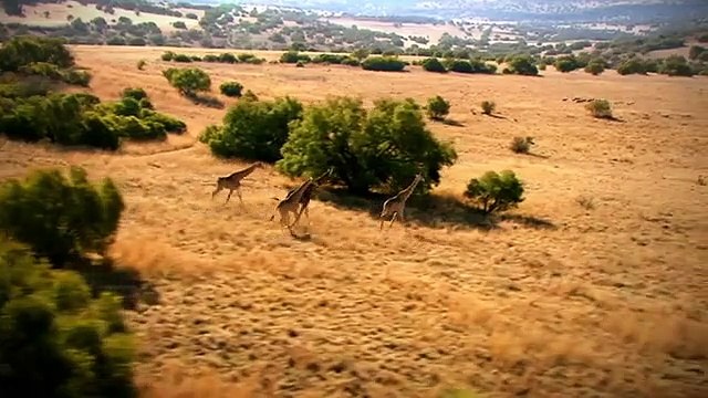 Slow Train Through Africa with Griff Rhys Jones | show | 2015 | Official Trailer