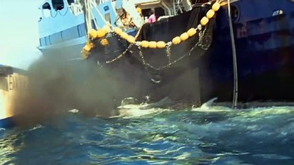 Eco-Pirate: The Story of Paul Watson | movie | 2011 | Official Trailer