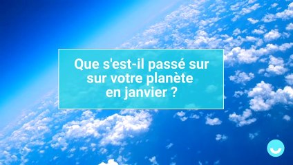 Iceberg, requins, glaciers... Que s'est-il passé sur votre planète en janvier ?