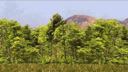 Le captage du CO2 dans l'air ambiant