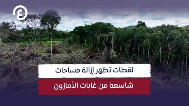 لقطات تظهر إزالة مساحات شاسعة من غابات الأمازون
