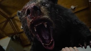 Cocaine Bear : the Oscar teaser - a bear did cocaine !!!!!
