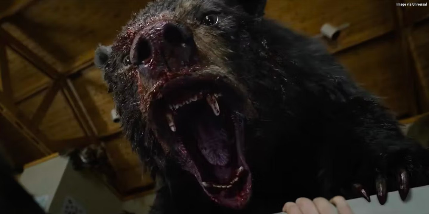 Cocaine Bear : the Oscar teaser - a bear did cocaine !!!!!