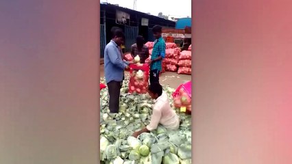 Videos Satisfactorios de Trabajadores que Hacen Su Trabajo a la Perfección