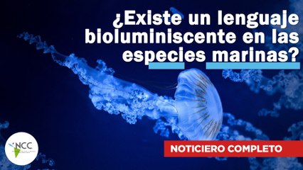 ¿Existe un lenguaje bioluminiscente en las especies marinas? |521| 30 de enero al 5 de febrero 2023