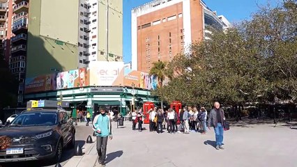 Gomero de la Recoleta, l'arbre le plus célèbre de Buenos Aires