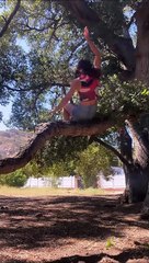 Chuter d'un arbre avec classe