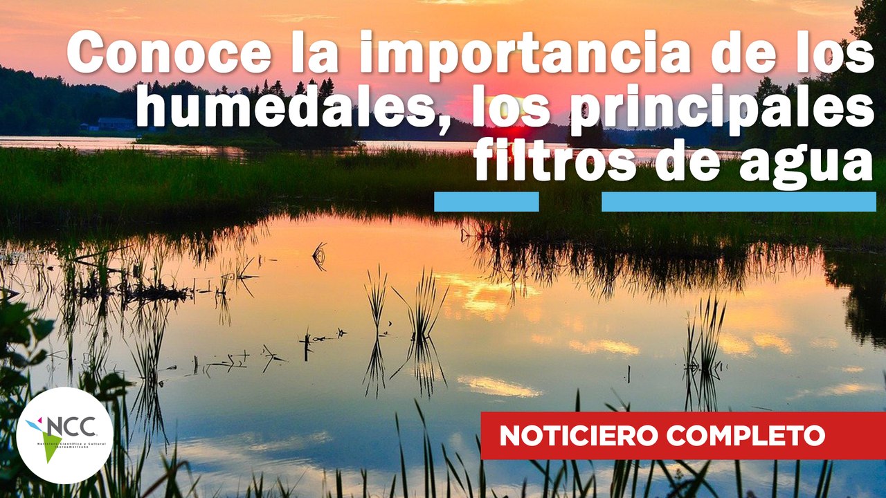 Conoce la importancia de los humedales, los principales filtros de agua |520| 30 de enero al 5 de febrero 2023