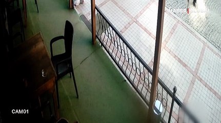 Rize'de bir saldırgan, sahipsiz köpeğe sopayla saldırdı