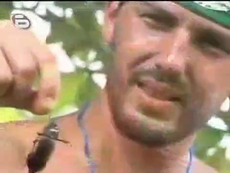 Survivor BG - Se3 - Ep32 HD Watch