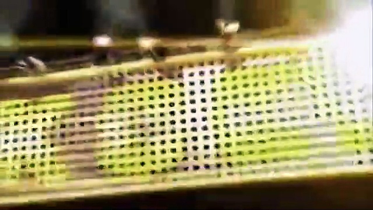 Celebrity Name Game - Se1 - Ep38 HD Watch